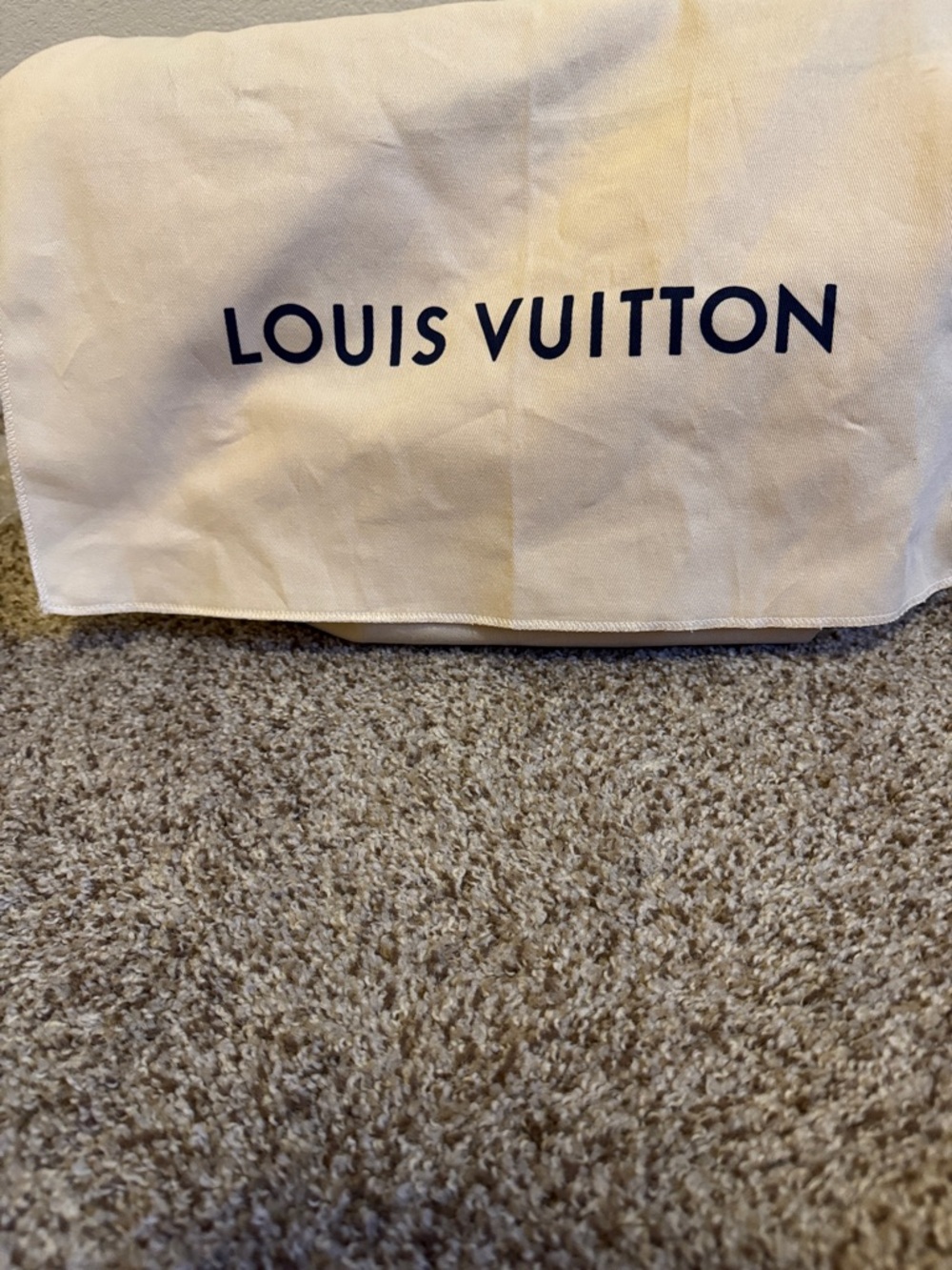 AUTHENTIC LOUIS VUITTON CARRYALL PM - Picture 8 of 12